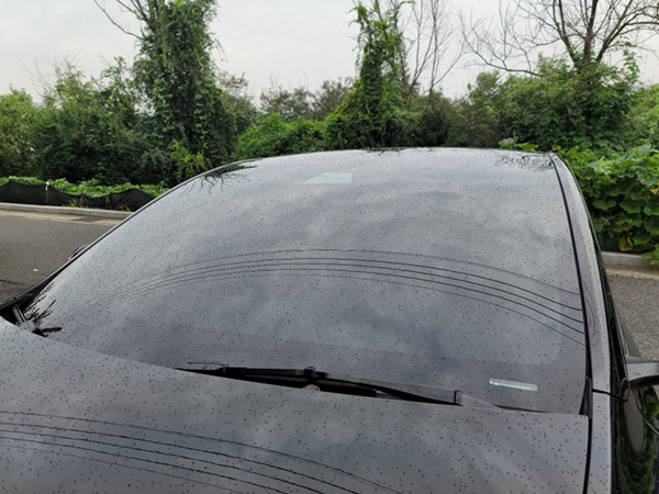 19cc21052d912dbfcc265fd9d798a9fe_1630998829_4001.jpg 19cc21052d912dbfcc265fd9d798a9fe_1630998829_4001.jpg